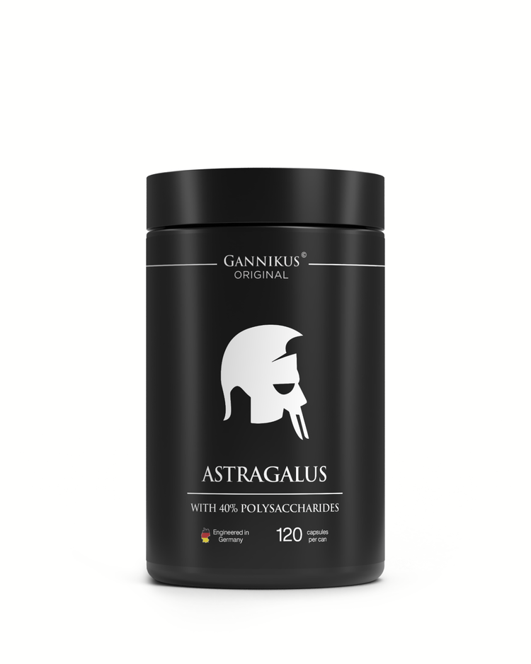 ASTRAGALUS - 120 Kapseln